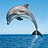 flipper